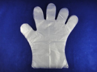 PE Gloves